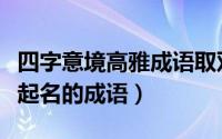 四字意境高雅成语取双胞胎名（适合给双胞胎起名的成语）