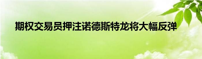 期权交易员押注诺德斯特龙将大幅反弹