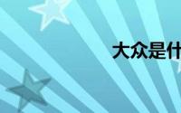 大众是什么标志？
