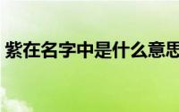 紫在名字中是什么意思（紫在名字中的寓意）