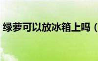 绿萝可以放冰箱上吗（冰箱上能不能放绿萝）