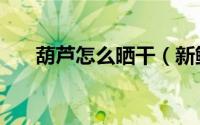 葫芦怎么晒干（新鲜的葫芦怎样晾干）