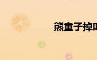 熊童子掉叶子怎么办
