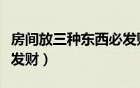 房间放三种东西必发财（房间摆放哪些东西必发财）