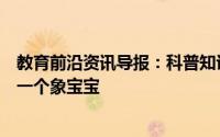 教育前沿资讯导报：科普知识：大象一般怀孕多久才能生下一个象宝宝
