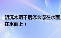 阴沉木晒干后怎么浮在水面上（金丝楠阴沉木晒干后怎会浮在水面上）