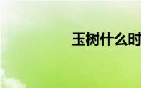 玉树什么时候扦插最好