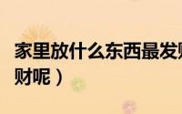 家里放什么东西最发财（家里放什么东西最发财呢）