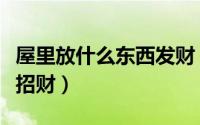 屋里放什么东西发财（屋里适宜摆放哪些东西招财）