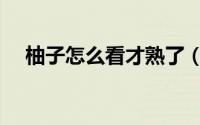 柚子怎么看才熟了（柚子看成熟的方法）