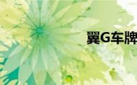 翼G车牌在哪里？