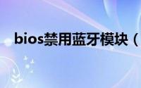 bios禁用蓝牙模块（BIOS内部模块详解）