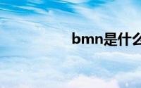 bmn是什么品牌的车？