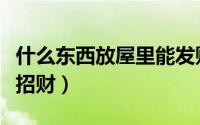 什么东西放屋里能发财（这五种东西放家里最招财）