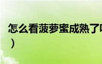 怎么看菠萝蜜成熟了呢（如何看菠萝蜜熟没熟）