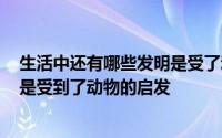 生活中还有哪些发明是受了动物的启发? 生活中有哪些发明是受到了动物的启发 