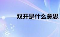 双开是什么意思 双规是什么意思 