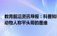 教育前沿资讯导报：科普知识：被称为世界上最无所畏惧的动物人称平头哥的是谁