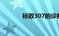 标致307的诊断插头在哪里？