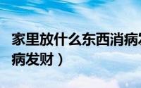 家里放什么东西消病发财（家里放哪些东西消病发财）