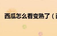 西瓜怎么看变熟了（西瓜如何判断熟没熟）