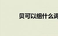 贝可以组什么词（贝主要组词）