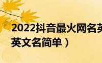 2022抖音最火网名英文女（独一无二的抖音英文名简单）