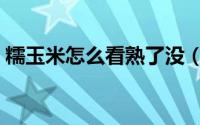 糯玉米怎么看熟了没（糯玉米如何看熟了没）
