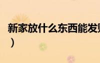 新家放什么东西能发财（新家摆放什么最招财）