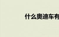 什么奥迪车有电子变速杆？