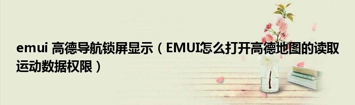 emui 高德导航锁屏显示（EMUI怎么打开高德地图的读取运动数据权限）