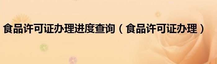 食品许可证办理进度查询（食品许可证办理）
