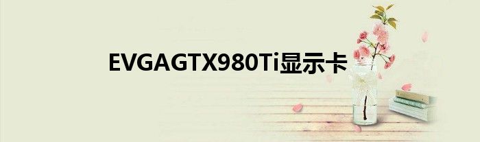 EVGAGTX980Ti显示卡