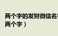 两个字的发财微信名有哪些（比较旺财的网名两个字）