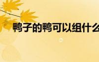 鸭子的鸭可以组什么词（鸭能组什么词）