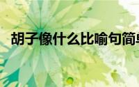 胡子像什么比喻句简单 胡子像什么比喻句 