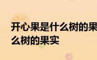 开心果是什么树的果实怎么加工 开心果是什么树的果实 