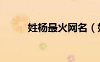 姓杨最火网名（姓杨有趣的昵称）