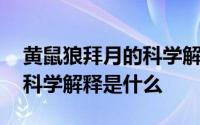 黄鼠狼拜月的科学解释是什么 黄鼠狼拜月的科学解释是什么 