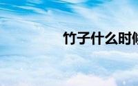 竹子什么时候移栽易成活