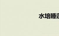 水培睡莲怎么养