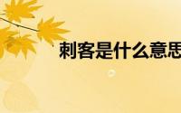 刺客是什么意思（什么是刺客）