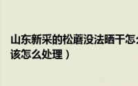 山东新采的松蘑没法晒干怎么办（山东新采的松蘑没法晒干该怎么处理）