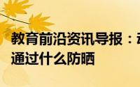 教育前沿资讯导报：动物生活知识科普：大象通过什么防晒