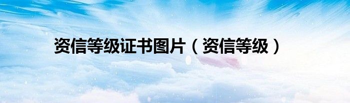 资信等级证书图片（资信等级）