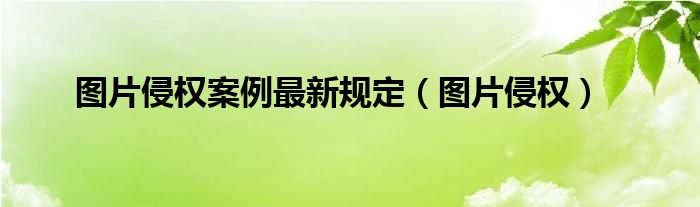 图片侵权案例最新规定（图片侵权）