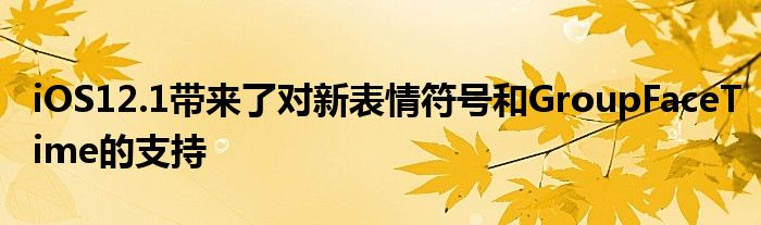 iOS12.1带来了对新表情符号和GroupFaceTime的支持