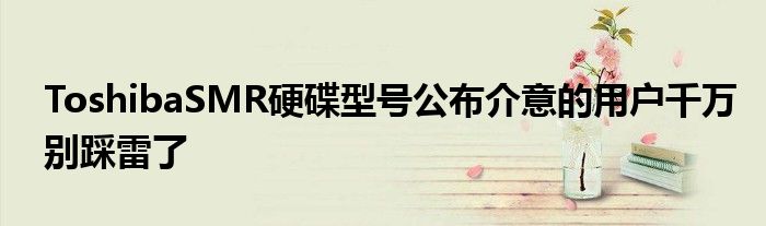 ToshibaSMR硬碟型号公布介意的用户千万别踩雷了