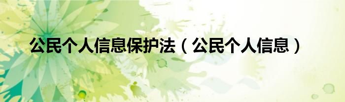 公民个人信息保护法（公民个人信息）