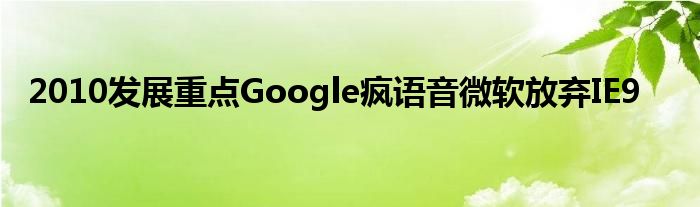 2010发展重点Google疯语音微软放弃IE9
